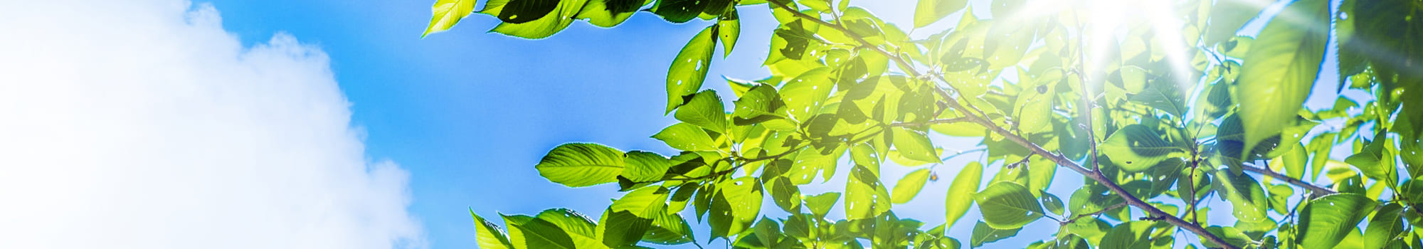 プライバシーポリシー